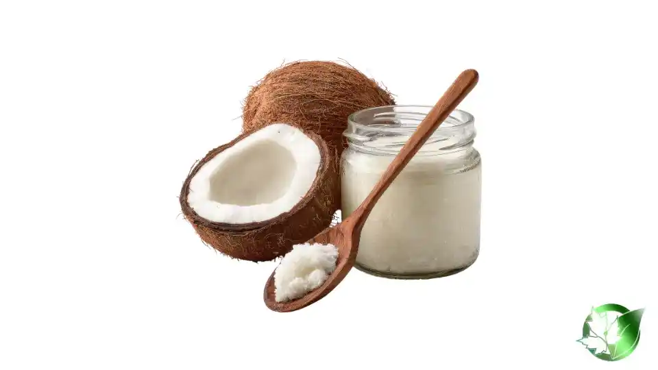 Bulk Coconut Creamer | Suppliers | Wholesale | ParsaFood Global